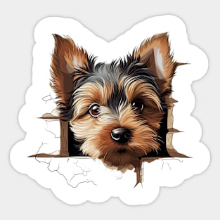 Baby Yorkshire Terrier Dog Peeking Sticker